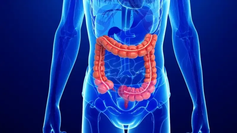 Changes in Bowel Habits - Causes, Symptoms and Treatment Options