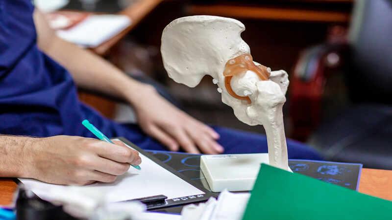 Feumer Femur (Thighbone): Anatomy, Function and Common Conditions