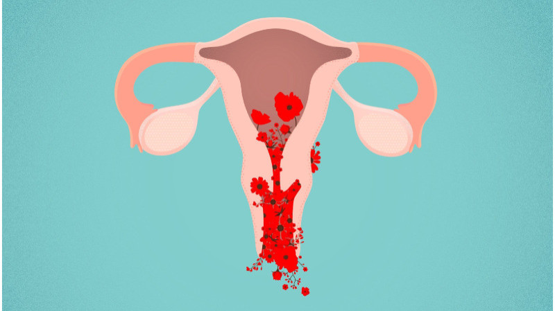 Light Spotting Bleeding From The Uterus Between Menstrual Periods