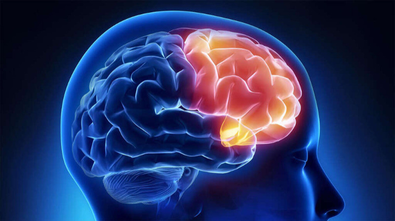 brain problem doctor mumbai